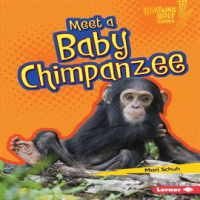 Meet_a_Baby_Chimpanzee